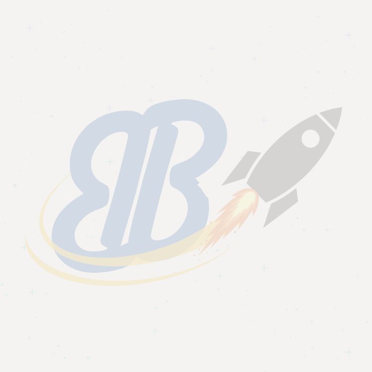 Web Developer, Brandboostie